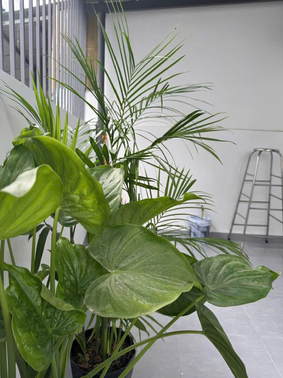 NHÀ XÃ VĨNH NGỌC - PHƯỜNG TÂY NHA TRANG - Ảnh 9