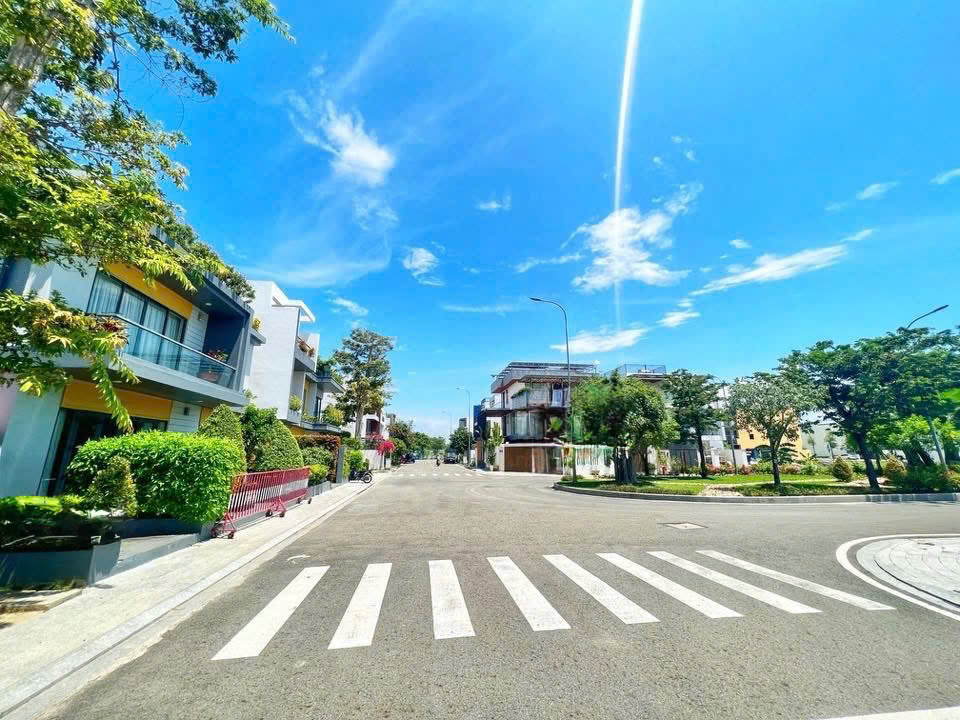 CẬP NHẬT THỊ TRƯỜNG MỸ GIA THÁNG 11/2025 - Ảnh 3