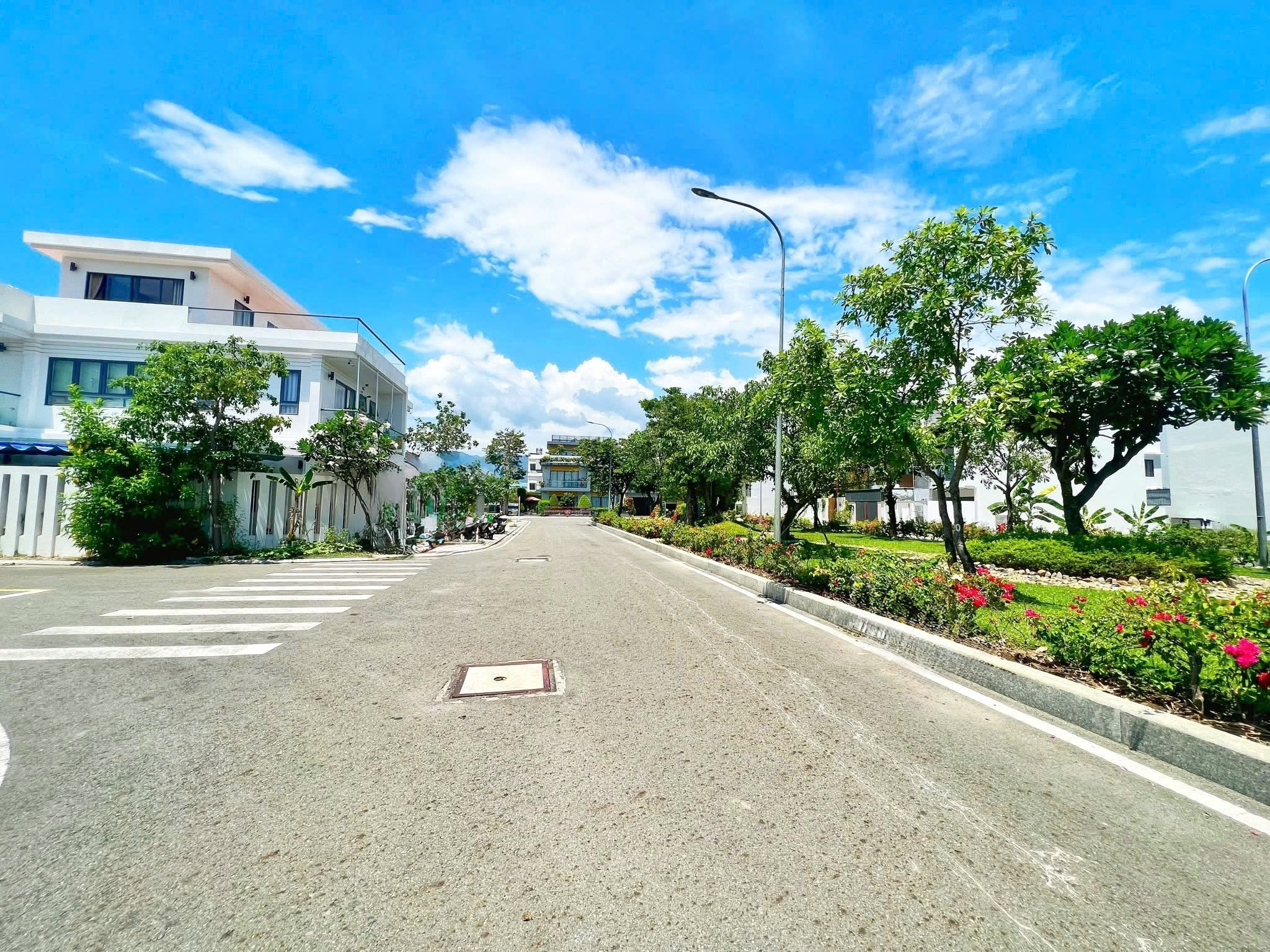 CẬP NHẬT THỊ TRƯỜNG MỸ GIA THÁNG 11/2025 - Ảnh 4